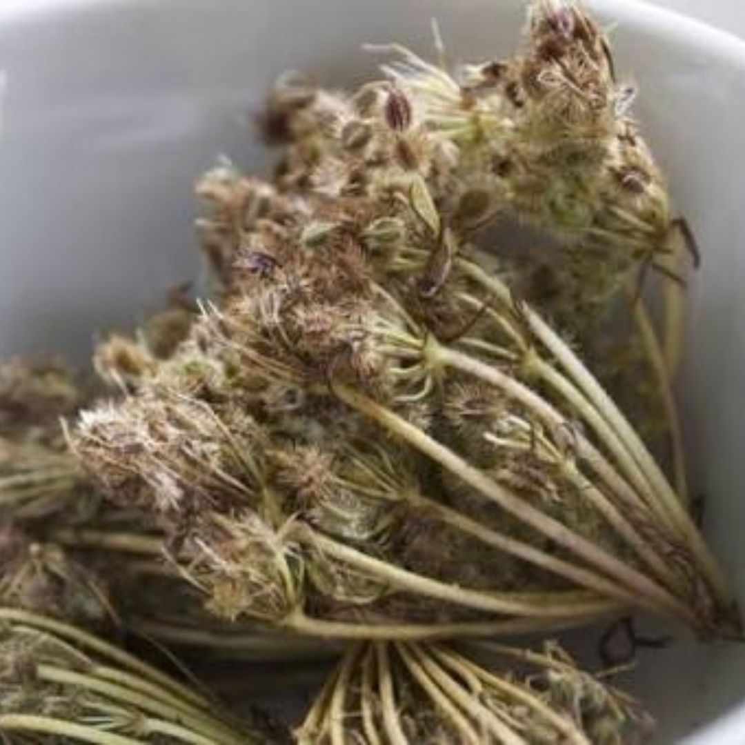 Tisane e principi vegetali per favorire la diuresi naturale